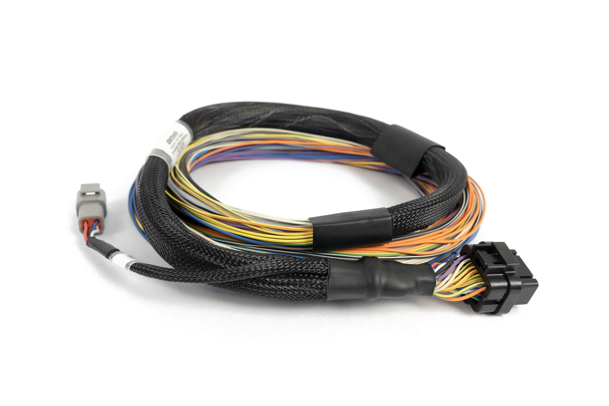Haltech Nexus T2 / T1 Basic Universal Wire-in Harness 2.5m (8') - HT-181200 - image 1