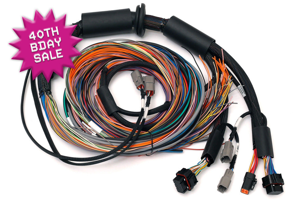 Haltech Nexus R3 Universal Wire-in Harness 2.5m (8') - HT-183200 - image 1