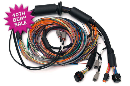Haltech Nexus R3 Universal Wire-in Harness 2.5m (8') - HT-183200 - image 1