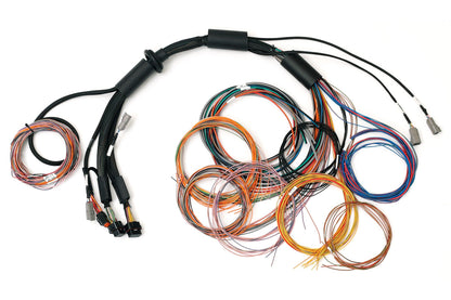 Haltech Nexus R3 Universal Wire-in Harness 2.5m (8') - HT-183200 - image 2