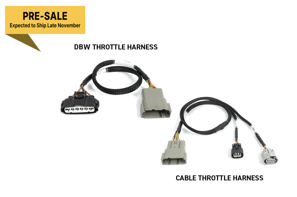 Haltech Nexus Rebel K ECU + Harness Kit - HT-220206 - image 4