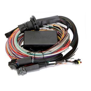 Haltech Elite 2500 + Premium Universal Wire-in Harness Kit Length: 5m (16')